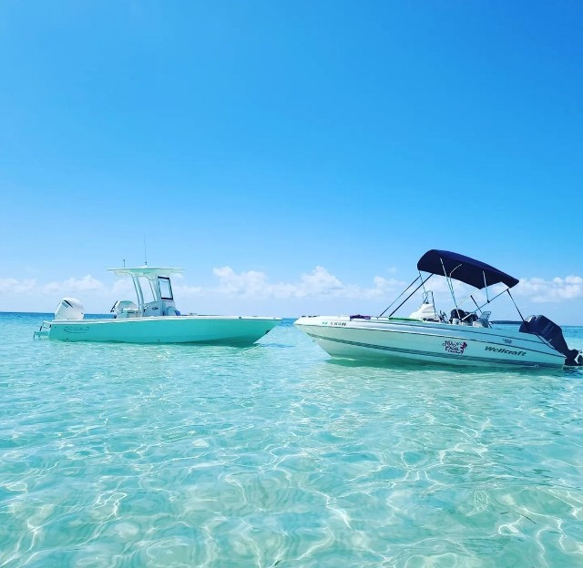 boats in water